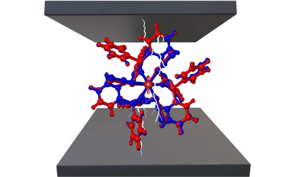 Spin-Electric Coupling and Multifunctionality
